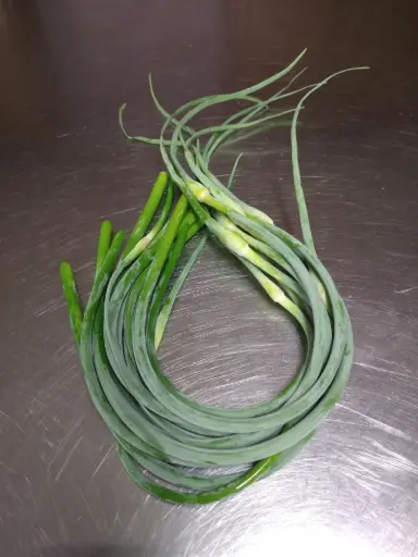 Garlic scapes 1 bunch
